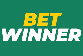 Explore the World of BetWinner Online Casino Explore the World of BetWinner Online Casino