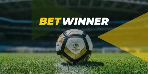 Exploring the BetWinner Platform A Comprehensive Guide